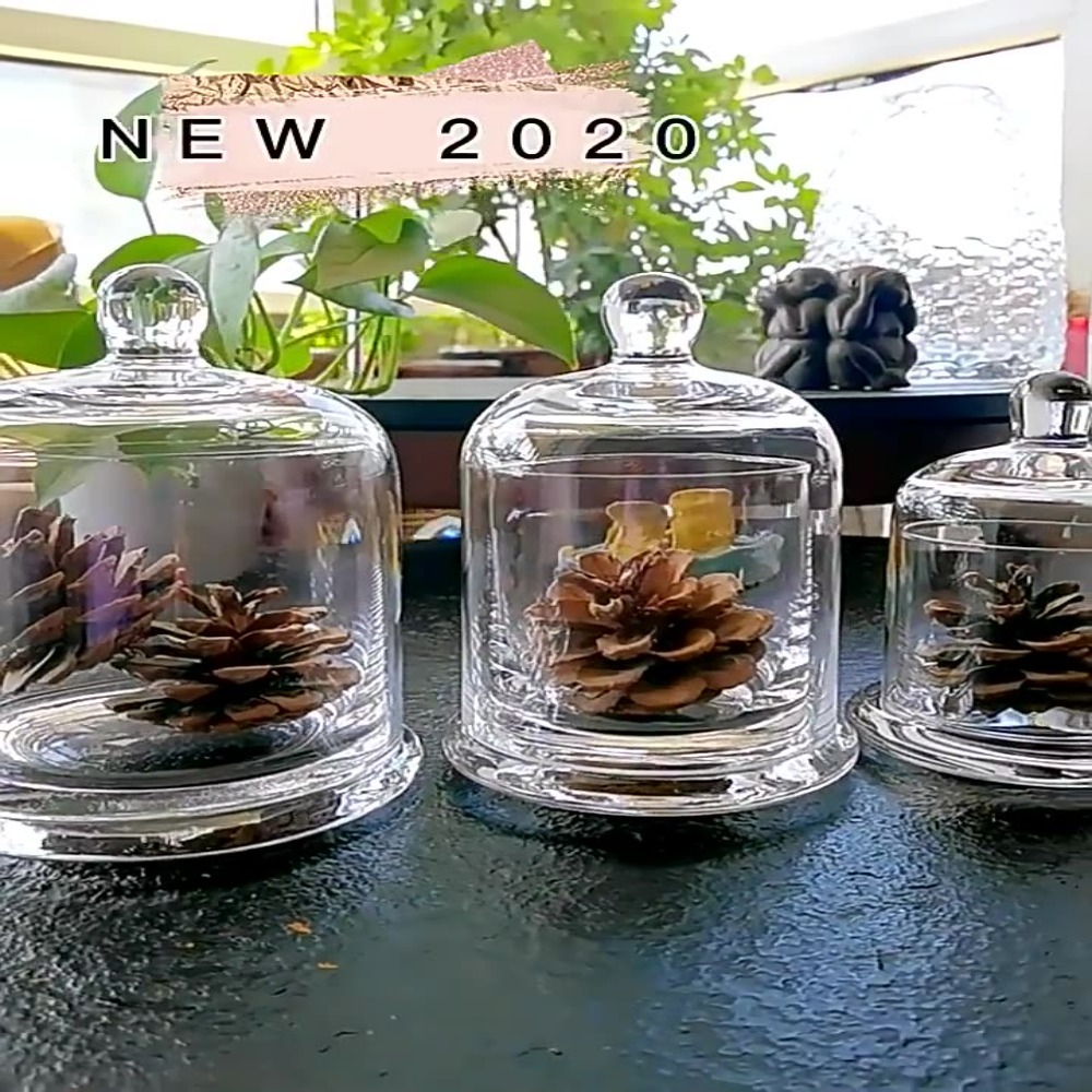 Glass Glass Storage Jar Eterna - Candle Making Jars With Lids 评论和价格
